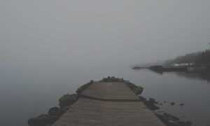 ways to use uhoebeans software