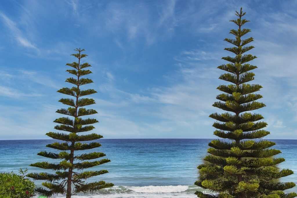 winobit3.4 software error