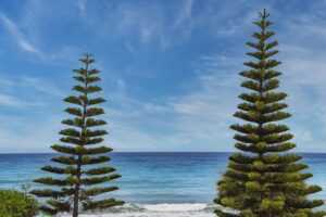 winobit3.4 software error