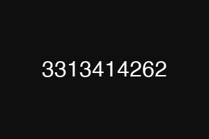 3313414262