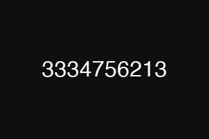 3334756213