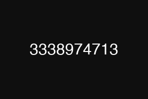 3338974713