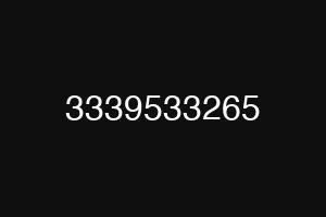 3339533265