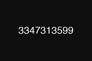 3347313599