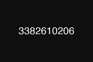 3382610206