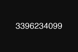3396234099