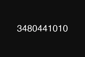 3480441010