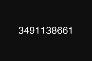 3491138661