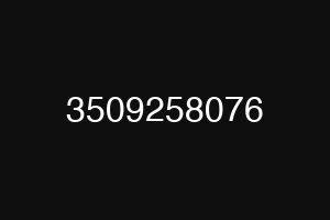 3509258076