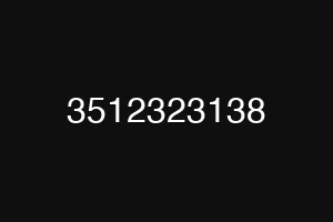 3512323138