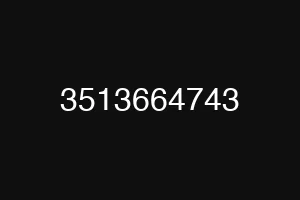 3513664743