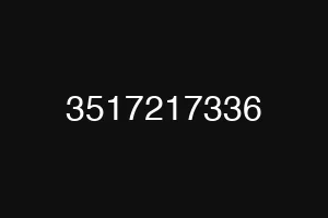 3517217336