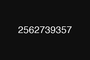 2562739357