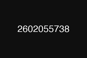2602055738