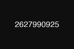 2627990925