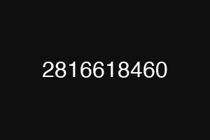 2816618460