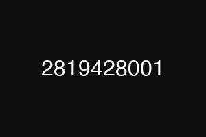 2819428001