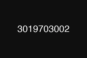 3019703002
