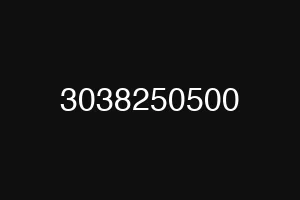 3038250500