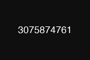 3075874761