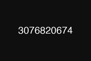 3076820674