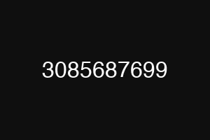 3085687699