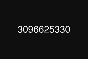 3096625330