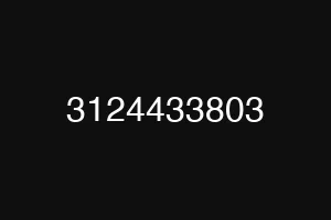 3124433803