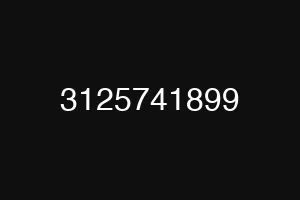 3125741899