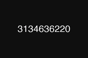 3134636220