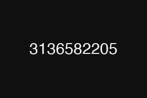 3136582205