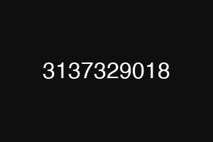 3137329018