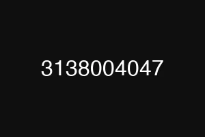 3138004047