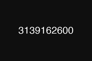 3139162600