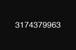 3174379963