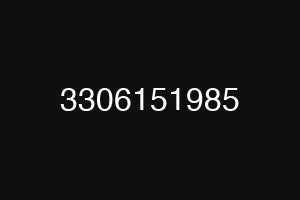 3306151985